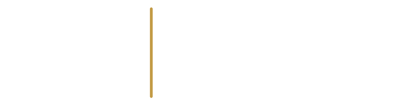 JF Insurance Partners